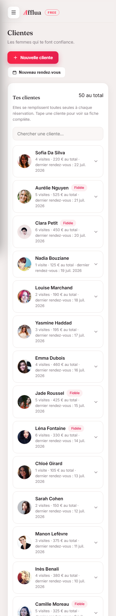 Aperçu du fichier client dans Afflua